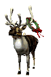 reindeer with  a  xmas wreath   animation