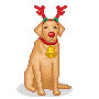 labrador with reindeer antlers   animation