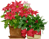 christmas flowers   animation