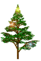  christmas tree with lights  animation