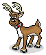 reindeer  animation