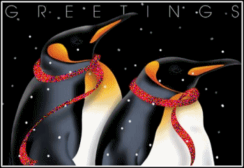 christmas penguins  animation