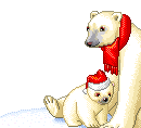   christmas polar bears  animation