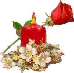   christmas candle and rose  animation