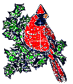   christmas cardinal   animation