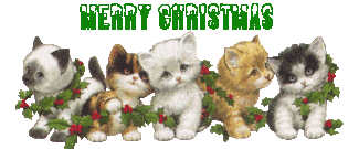 5 christmas kittens   animation