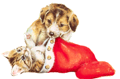 puppy and cat   animation