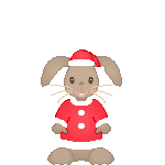  merry christmas rabbit  animation
