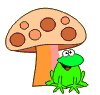 frog under a toadstool  animation