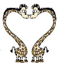 giraffe gif