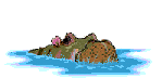 animated hippo