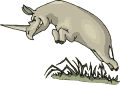 rhino animation