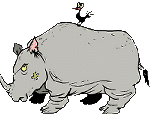 rhino animation