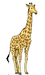 giraffe animation