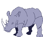 rhino animation