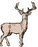 stag animation
