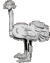 animated ostrich head in the sand