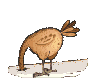 bird animation