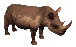 animated rhino