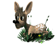 fawn animation