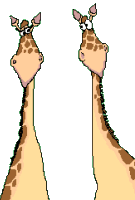 giraffe animated gif