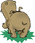 hippo animation