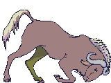 buffalo animation