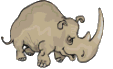rhinoserous animation