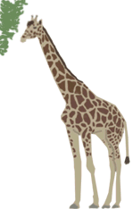giraffe eating animation