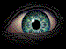 swivel eye   animation