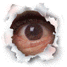 blinking eye   animation