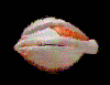 pink eye   animation