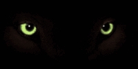 green  eyes   animation