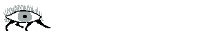 wandering eye   animation