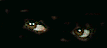 dark eyes   animation