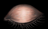 target eye   animation