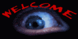 welcome eye   animation