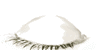 green eye   animation