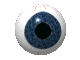  eyeball   animation