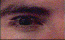 brown eye   animation