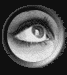  eye nose and mouth   animation
