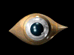 tear eye   animation
