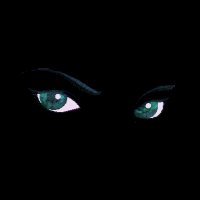 sparking eyes   animation