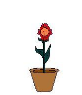 flower with a bee  animation