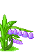 lilly of the valley animation