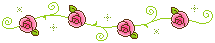   animation