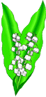 lilly of the valley  animation
