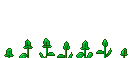 flowers growing  animation