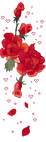 red roses  animation