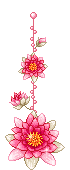  waterlillies animation